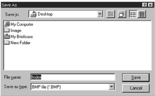 KONICA MINOLTA SCAN MULTI II SOFTWARE - Click on Save Index Image button - 1