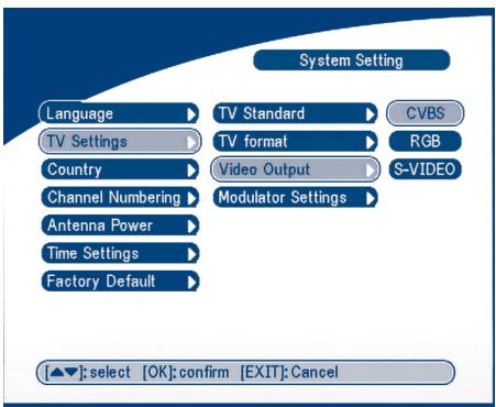 STRONG SRT 5010 - Video output - 1