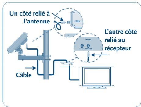 STRONG SLIMSAT SA61 - B- comment connecter le câble à l'antenne et au récepteur utilisé ? - 2