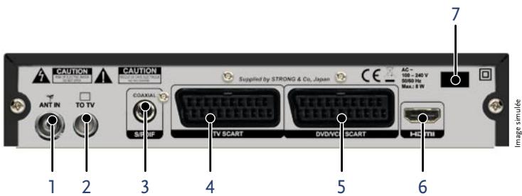 STRONG SRT 8100 - Exceptionnel en HDTV - multimédia via USB - 2