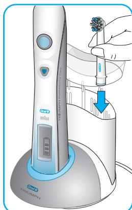 BRAUN TRIUMPH PROFESSIONAL CARE - Type 3731 - 10