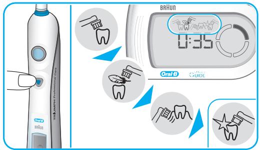BRAUN TRIUMPH PROFESSIONAL CARE - Reinigungsstufen - 1