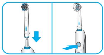 BRAUN TRIUMPH PROFESSIONAL CARE - First use - 5