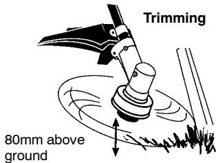 MCCULLOCH TRIMMAC 251 SST - CUTTING METHODS - 2