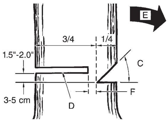MCCULLOCH MCC1514 - ADVERTENCIA - 1