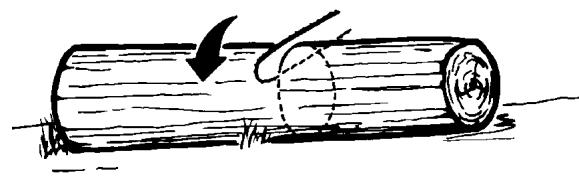 MCCULLOCH MCC1514 - 5-3. BUCKING - 1