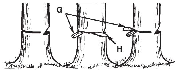 MCCULLOCH MCC1514 - ADVERTENCIA - 1
