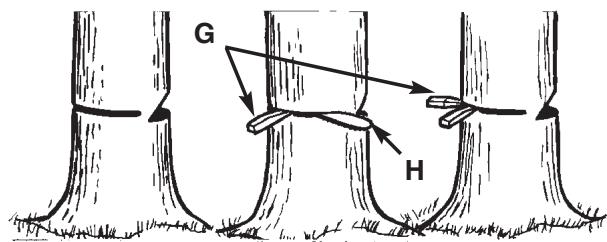 MCCULLOCH MCC1514 - WARNING - 1