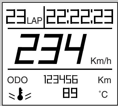 APRILIA RSV 1000 TUONO R - ^ C /  F - 1