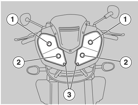 APRILIA RSV 1000 TUONO R - CAUTION - 1