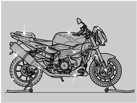 APRILIA RSV 1000 TUONO R - CLEANING - 1