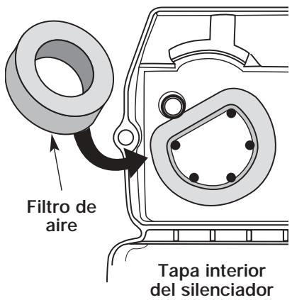 MTD TB25ET - Limpieza del Filtro de Aire - 1