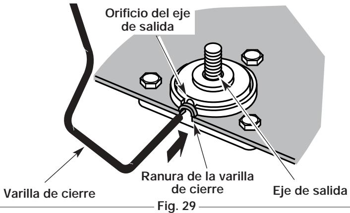 MTD TB25ET - CAMBIO DE LA CUCHILLA DEL RECORTADOR DE BORDES - 4