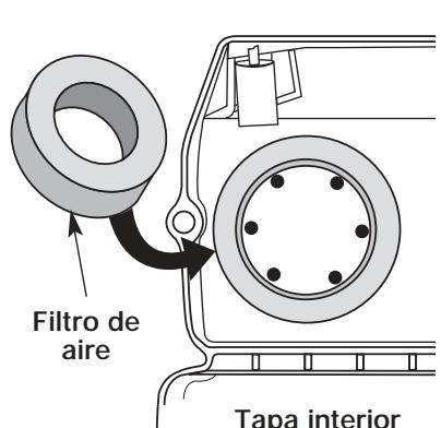 MTD Y725 - Limpieza del Filtro de Aire - 1
