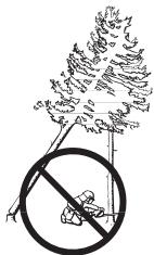 JONSERED CS 2172 WH - Récupération d'un arbre accroché - 1