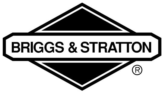 BRIGGS & STRATTON BRIGGS & STRATTON 21A400 - 1