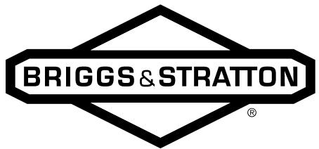 BRIGGS & STRATTON BRIGGS & STRATTON 90000 - Engine Power Rating Information - 1