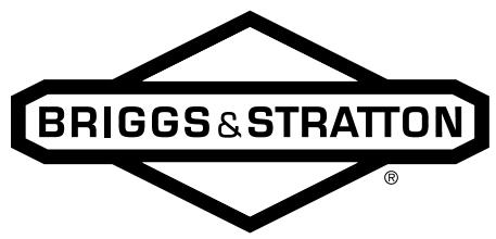 BRIGGS & STRATTON BRIGGS & STRATTON 98900 - 1