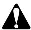 BRIGGS & STRATTON BRIGGS & STRATTON 98900 - WARNING - 1