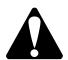 BRIGGS & STRATTON BRIGGS & STRATTON 98900 - WARNING - 3