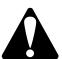 BRIGGS & STRATTON BRIGGS & STRATTON 98900 - WARNING - 2