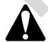 BRIGGS & STRATTON BRIGGS & STRATTON 98900 - Pregledajte prigušivač i hvatač iskre - Slika 7 - 1