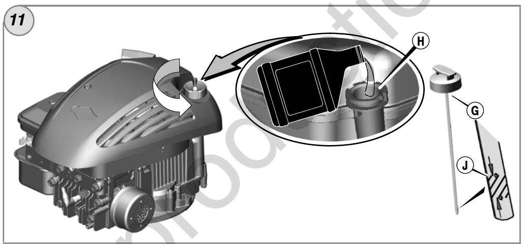 BRIGGS & STRATTON BRIGGS & STRATTON 98900 - 12