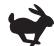 BRIGGS & STRATTON BRIGGS & STRATTON 111400 - Symbols Associated with this Engine - 15