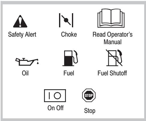 BRIGGS & STRATTON BRIGGS & STRATTON 111600 - International Symbols and Meanings - 1