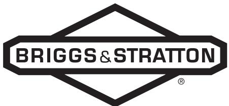 BRIGGS & STRATTON BRIGGS & STRATTON 111600 - Normal wear: - 12