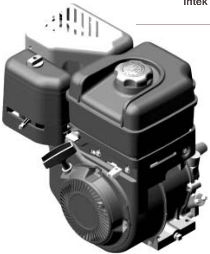 BRIGGS & STRATTON BRIGGS & STRATTON 113400 - Model 210000 - 1