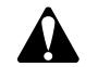 BRIGGS & STRATTON BRIGGS & STRATTON 120000 - WARNING - 2