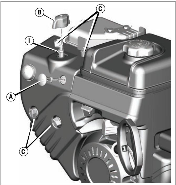 BRIGGS & STRATTON BRIGGS & STRATTON 120000 - How To Access The Spark Plug (1-Piece Snow Hood) - 1