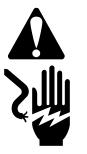 BRIGGS & STRATTON BRIGGS & STRATTON 120000 - WARNING - 1