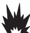 BRIGGS & STRATTON BRIGGS & STRATTON 120600 - WARNING - 2