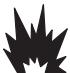 BRIGGS & STRATTON BRIGGS & STRATTON 120600 - DANGER - 2