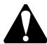 BRIGGS & STRATTON BRIGGS & STRATTON 210000 - WARNING - 1