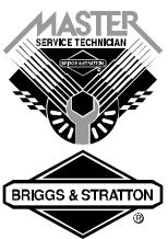 BRIGGS & STRATTON BRIGGS & STRATTON 210000 - SERVICE - 1