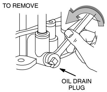 BRIGGS & STRATTON BRIGGS & STRATTON 210000 - CHANGING OIL - 2
