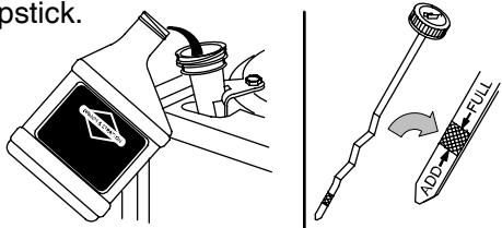 BRIGGS & STRATTON BRIGGS & STRATTON 210000 - CHANGING OIL - 4