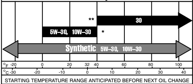 BRIGGS & STRATTON BRIGGS & STRATTON 210000 - TYPE OF OIL TO USE - 3