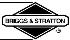 BRIGGS & STRATTON BRIGGS & STRATTON 210000 - STARTING - 1