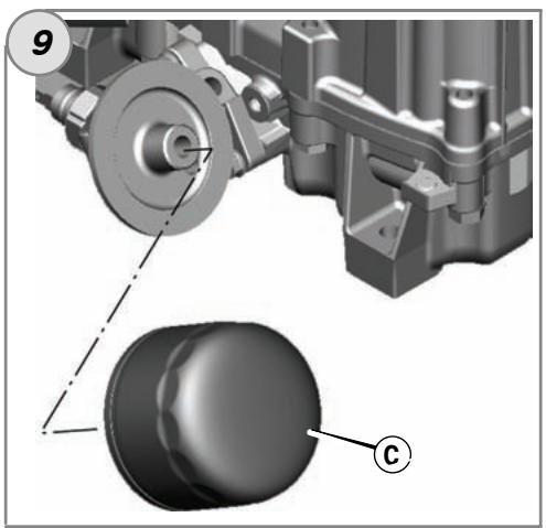 BRIGGS & STRATTON BRIGGS & STRATTON 290700 - 9