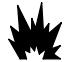 BRIGGS & STRATTON BRIGGS & STRATTON 303000 - WARNING - 2