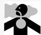 BRIGGS & STRATTON BRIGGS & STRATTON 303000 - SAFETY AND CONTROL SYMBOLS - 4