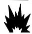 BRIGGS & STRATTON BRIGGS & STRATTON 303000 - WARNING - 2