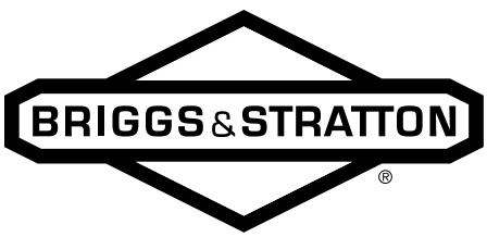 BRIGGS & STRATTON BRIGGS & STRATTON 303000 - 1