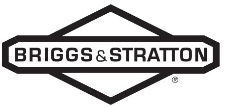 BRIGGS & STRATTON BRIGGS & STRATTON 303400 - 1