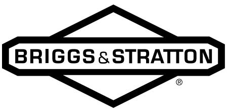 BRIGGS & STRATTON BRIGGS & STRATTON 350400 - 1