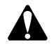 BRIGGS & STRATTON BRIGGS & STRATTON 436777 - WARNING - 1